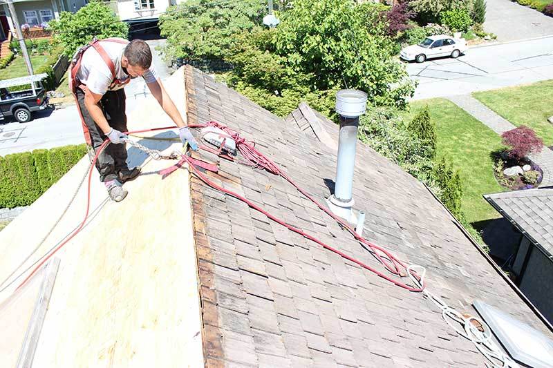 asphalt shingle roof replacement reroofing